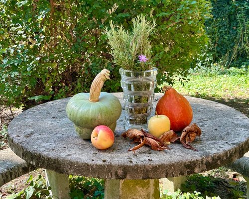 fresh vibrant organic vegetables and citrus fruits on a rustic wooden table